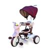 iimo Folding 3 in 1 Tricycle - Premium Tricycles for 1-3 Year olds - Japan Design Toddler Bike with Push Handle, Stroll N Trike, Toddler Tricycle Stroller - Kids Trike for Baby Boys and Girls (Brown) view 1