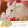 Rabbit Clothes Set with Walking Harness and Leash, Cotton, 2 Sets M view 3