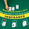 Aoriher Blackjack Game Combo Set, Include Blackjack Layout Felt,Shoe 6 Deck Automatic Card Shuffler Discard Holder Trays and 10 Cut Cards for Casino, Party Night(Green) view 4