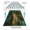 Lenticular Sheet 17"x13", 100LPI (Pack of 5) - Transparent Lenticular Lens Sheet Blanks, Portrait, for Magic Tricks, 3D/Morph/Zoom/Animation/Flip-Image Printing, Optical Illusion, Invisibility Shield view 4