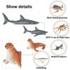 EOIVSH 24PCS Mini Ocean Animal Figurines - Realistic Sea Creatures Toy Figures with Sharks, Whales & Walrus - Under The Sea Life Figure for Party Decoration, Easter Egg Filler & School Project view 3