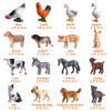 JOKFEICE 16Pcs Realistic Farm Animal Figures, Easter Egg Fillers & Easter Basket Stuffers, Montessori Sensory Learning Toys for Toddlers, Farmyard Cake Toppers, Spring Party Favors and Gifts for Kids view 3