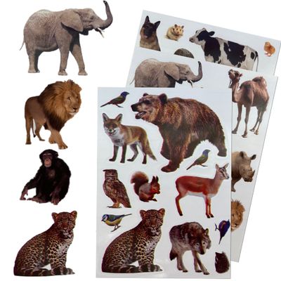 Zoo Animal Stickers for Arts and Crafts, Animal Jungle Stickers for Classroom Learning School - Safari Stickers for Party Favor (12 Sheets - 190 Pack)