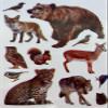 Zoo Animal Stickers for Arts and Crafts, Animal Jungle Stickers for Classroom Learning School - Safari Stickers for Party Favor (12 Sheets - 190 Pack) view 3
