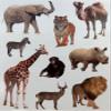 Zoo Animal Stickers for Arts and Crafts, Animal Jungle Stickers for Classroom Learning School - Safari Stickers for Party Favor (12 Sheets - 190 Pack) view 4