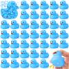 Hungdao 48 Pcs 2 Inch Mini Rubber Ducks for Kids Children Party Favors Bulk Bath Ducks Summer Pool Floating Toys Rubber Duckies Birthday Gifts for Boys Girls Baby Shower Supplies(Blue) view 1