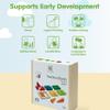 PlanToys Fraction Blocks Wooden Montessori Early Math and Logic Toy | Fraction Learning, Shape Recognition and Sorting Activity | Eco Friendly Colourful Block Set view 4