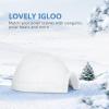 6pcs Mini Igloo Toys Lifelike Ice House Models Arctic Figurines Toys for Boys Girls Kids Dollhouse Micro Landscape Decoration view 2