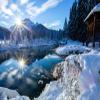 Noah Jigsaw Puzzle Zelenci - Sava River Spring Near Kranjska gora, Slovenia - Winter Landscape 1000 Pieces view 2