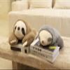 Niuniu Daddy Weighted Sloth Stuffed Animals for Anxiety, Large Plush Animal Pillow Kids Adults, 20in Cute Plushies Toy as Gifts Presents Christmas Birthday, Brown, SET-Above 3lb view 2