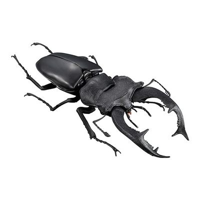 [European Miyama Stag Rattle (Black) ] Ikimono Large Illustrated Book Kuwagata 05