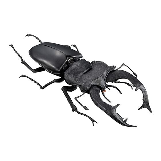 [European Miyama Stag Rattle (Black) ] Ikimono Large Illustrated Book Kuwagata 05