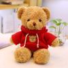 11.8 inches Teddy Bear Stuffed Animals Soft Plush Cute Teddy Bear Doll for Boys Girls (Red) view 3