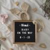 Flash Furniture Gracie Felt Letter Board with Wooden Frame, 389 PP Letters Including Numbers, Symbols and Icons, Canvas Carrying Case, 10x10, Torched Wood/Black Felt view 2