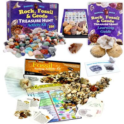 DANCING BEAR Geology Fossil Bundle  2 STEM Activity Kits: Rock, Mineral & Geodes and Fossil Sorting Activity