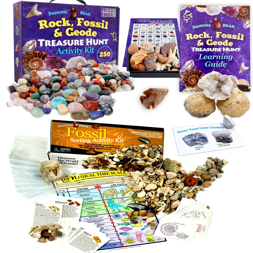 DANCING BEAR Geology Fossil Bundle  2 STEM Activity Kits: Rock, Mineral & Geodes and Fossil Sorting Activity