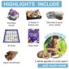 DANCING BEAR Geology Fossil Bundle  2 STEM Activity Kits: Rock, Mineral & Geodes and Fossil Sorting Activity view 4