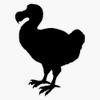 Dodo - Plain Black and White Sticker Decal Size 5" view 1