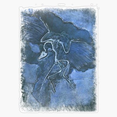 Archaeopteryx in Blue Sticker Decal Size 5"