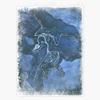 Archaeopteryx in Blue Sticker Decal Size 5" view 1