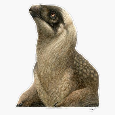 Changyuraptor Sticker Decal Size 5"