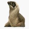 Changyuraptor Sticker Decal Size 5" view 1
