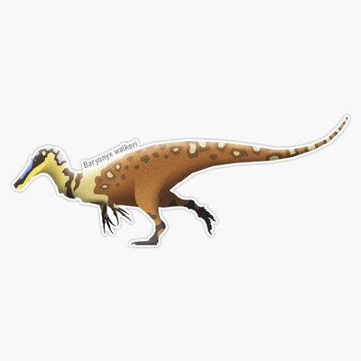 Baryonyx Walkeri Sticker Decal Size 5"