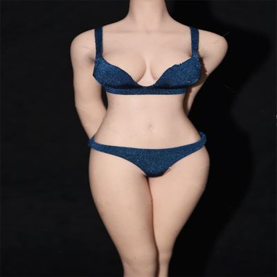 1/6 Scale Female Clothes,Women's Bras Briefs Underwear Costume Outfit Clothing for 12inch Female PH TBL JO Action Figure Body (Dark Blue)