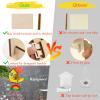 THWAS-LIGHT Wooden Arts and Crafts for Kids - 2 Pack Bird Feeder Wind Chime DIY Kids Crafts - Build and Paint Educational Fun Art Activities Gifts Outside Toys for Boys Girls Ages 3-5 8-12 6-8 view 4