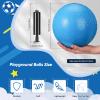 Hanaive 6 Pcs Kickballs 10 Inch Playground Ball Rubber Inflatable Dodgeball with Pump and Storage Bag Bouncy Kickball for Adults Sports Outdoor Activities(Blue) view 2