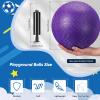 Hanaive 6 Pcs Kickballs 10 Inch Playground Ball Rubber Inflatable Dodgeball with Pump and Storage Bag Bouncy Kickball for Adults Sports Outdoor Activities(Purple) view 2