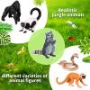 Jexine 25 Pack Rainforest Animals Figures Bulk Rainforest Diorama Kit School Project Toy for Kids Assorted Tropical Animals Figures for Birthday Miniature Landscape view 4