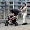 QPlay Rito - Premium Luxury Foldable Trike for Toddlers Featuring Leather touchpoints, Toddler Tricycle Stroller, Push & Fold Tricycle for Ages 12 Months to 5 Years, Midnight Edition view 2