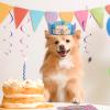 Waenerec 30 Pieces Birthday Crowns for Classroom Adjustable Cute Happy Birthday Hats Colorful Paper Party Crown for Kids view 4