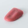 KUYYFDS Gag Toys Practical Jokes, 2 Pcs Halloween Fake Tongue False Tongue Horrific Tongue Prop Tricks Tongue Toys,Prop Tricks Tongue Toys,Realistic Fake Tongue, Comedy Magic Trick Accessories view 2