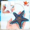CCINEE 9PCS Big Diving Pool Starfish, Soft Rubber Sea Animals Sets Colorful Starfish Summer Swimming Dive Throw Set for Underwater Swimming for Pool Beach view 3