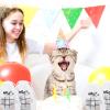 Sotiff 36 Set Tic Tac Toe Games Bulk for Kids Cat Party Favors Cat Tic Tac Toe with Bag Kitty Birthday Party Gifts Valentine Classroom Exchange Gifts Outdoor Indoor Activities Easter Basket Fillers view 4