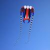 HFLY Kite New Giant 3D Solid Soft Inflatable Trilobite Kite for Adults Outdoor Fun Nylon Show Kites view 2