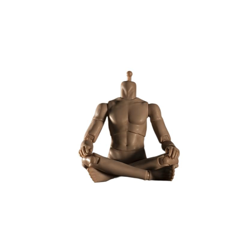 1/12 Scale Male Body,6inch Male Joint Flexible Strong Muscular Soldier Action Figure Body Collection (Suntan Skin)