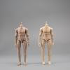 1/12 Scale Male Body,6inch Male Joint Flexible Strong Muscular Soldier Action Figure Body Collection (Suntan Skin) view 4