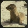 Galapagos - Compatible with View-Master 2 Reel Set - New view 3