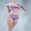 1/6 Scale Female Clothes,Female Lace Bras Briefs Underwear Costume Outfit Clothing for 12inch PH TBL JO Seamless Action Figure Body (Purple) view 1