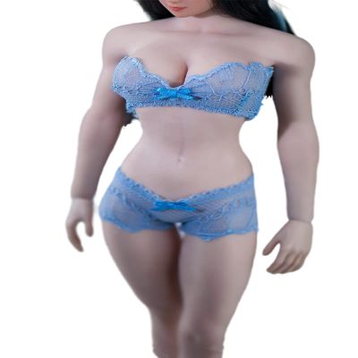 1/6 Scale Female Clothes,Female Lace Bras Briefs Underwear Costume Outfit Clothing for 12inch PH TBL JO Seamless Action Figure Body (Blue)