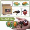 Mbrain Life Cycle Learning & Education Toys,Montessori Toys Figurines for Frog, Butterfly, Ladybug,Plants Kit,Gift for Girl & Boy for 3 4 5 Year Old view 2