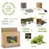 Mbrain Life Cycle Learning & Education Toys,Montessori Toys Figurines for Frog, Butterfly, Ladybug,Plants Kit,Gift for Girl & Boy for 3 4 5 Year Old view 3