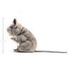 Folkmanis Gray Mouse Hand Puppet view 2