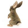 Folkmanis Jack Rabbit Hand Puppet view 3