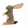 Folkmanis Jack Rabbit Hand Puppet view 4