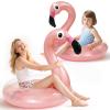 2PCS Flamingo Inflatable Pool Floats Adult Kids, Glitters Translucent Inflatable Pool Float for Kids Ages 6+, Fun Beach Floaties Summer Water Party Supplies2 Size view 1
