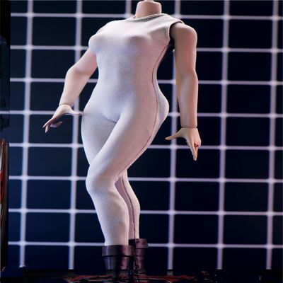 1/6 Scale Female Clothes,Sleeveless Bodysuit Tights Jumpsuit Costume Outfit Clothing for 12inch PH TBL JO Female Action Figure Body (Gray)